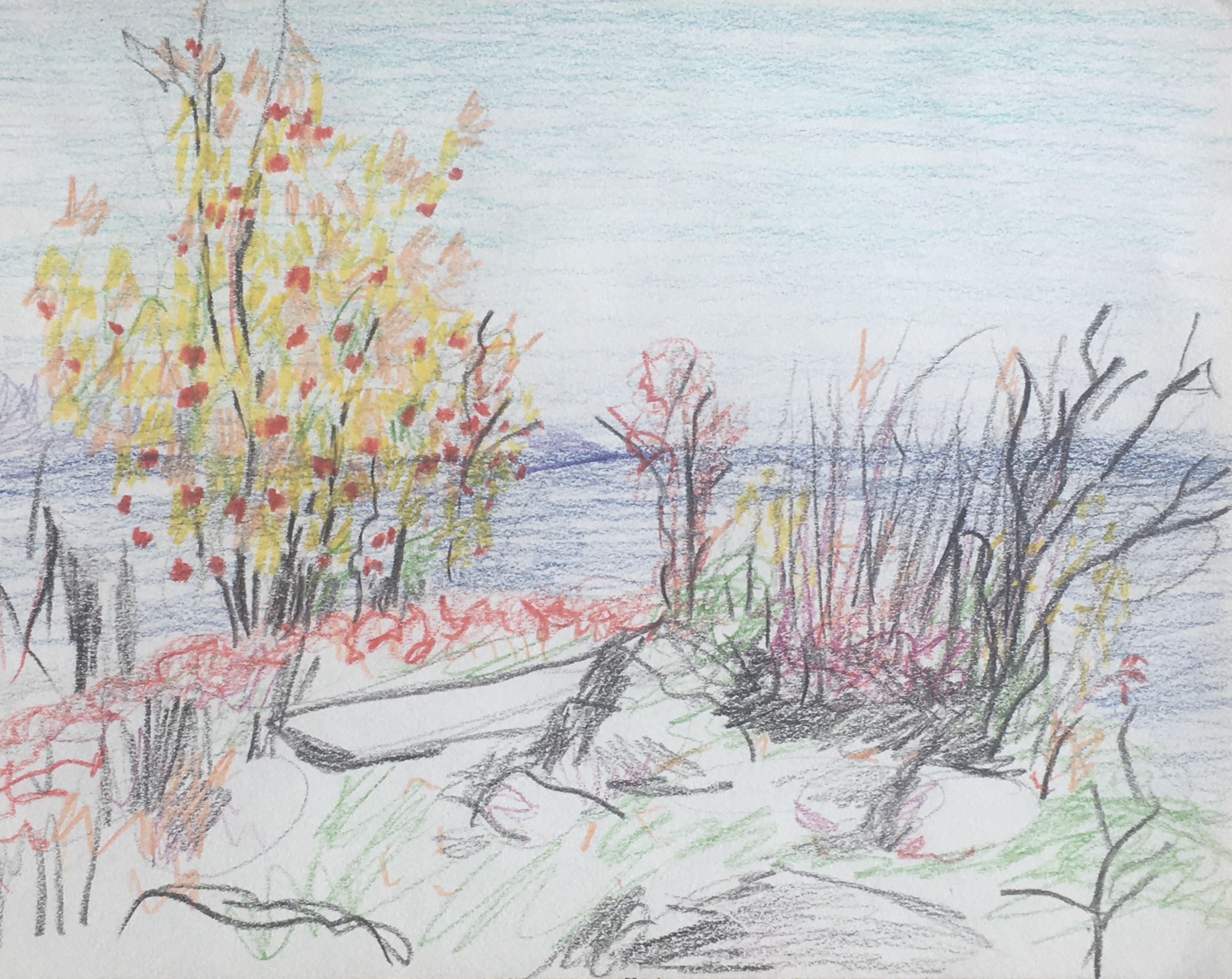 Thompson Bay Point, 2019
Colored Pencils on Paper, Walli White, artist