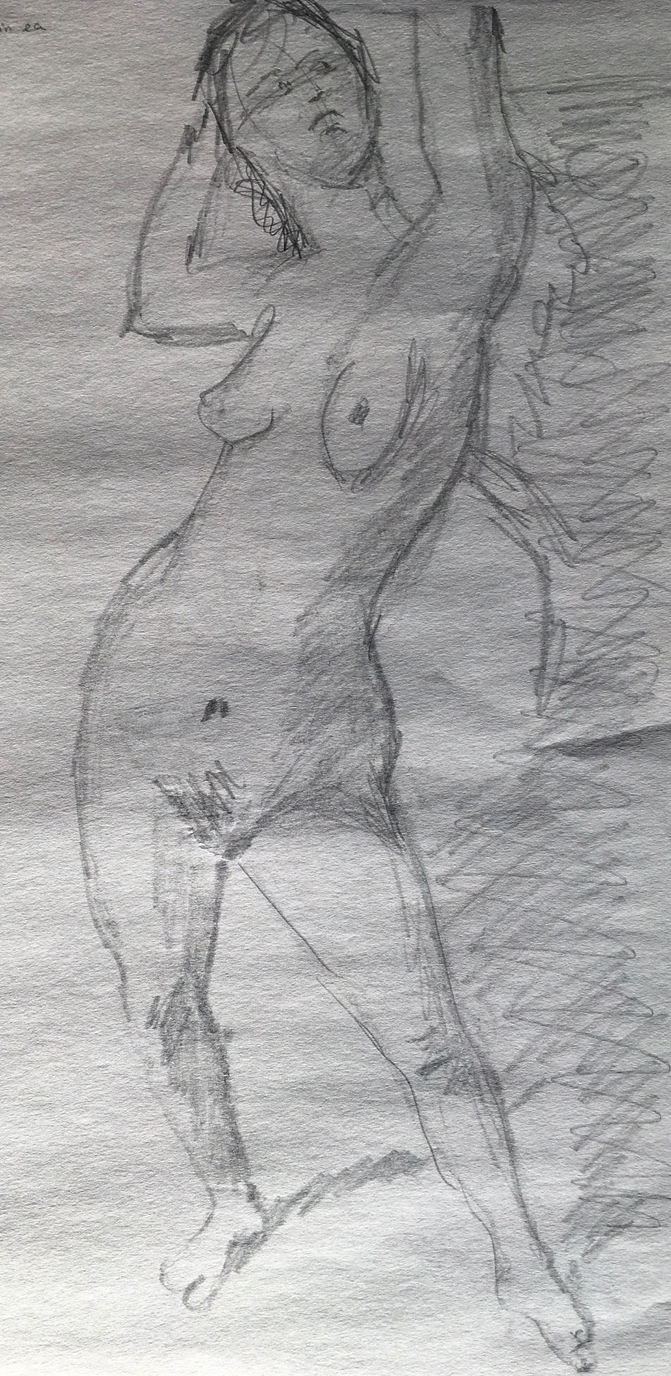 Gesture Drawing #3, 2019
Pencil on Paper
11"W x 17.5"H, Walli White, artist
