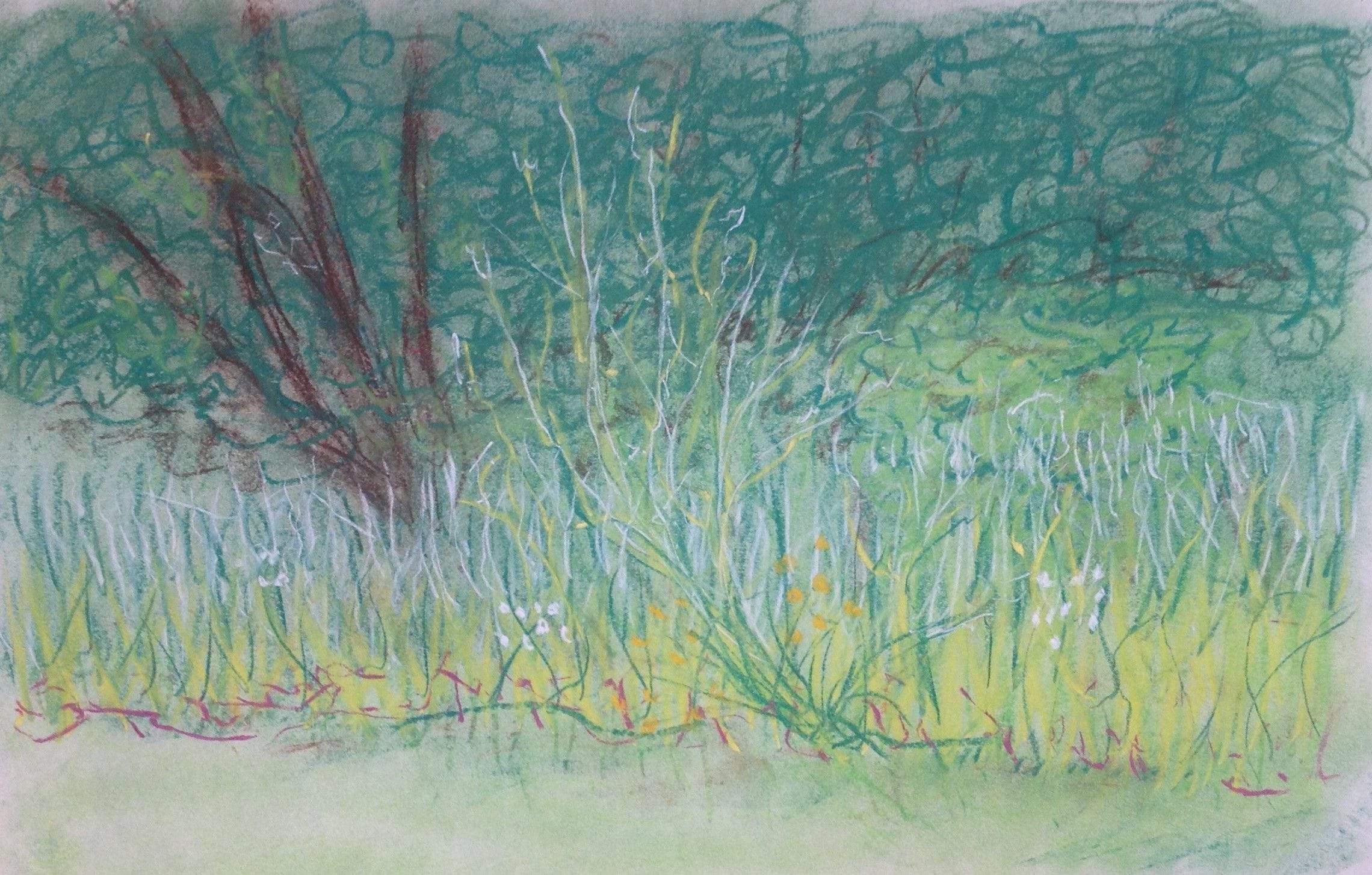 Light Dark Study, 1992
Plein Air, Chalk on Paper
14"W x 10"H, Walli White, artist