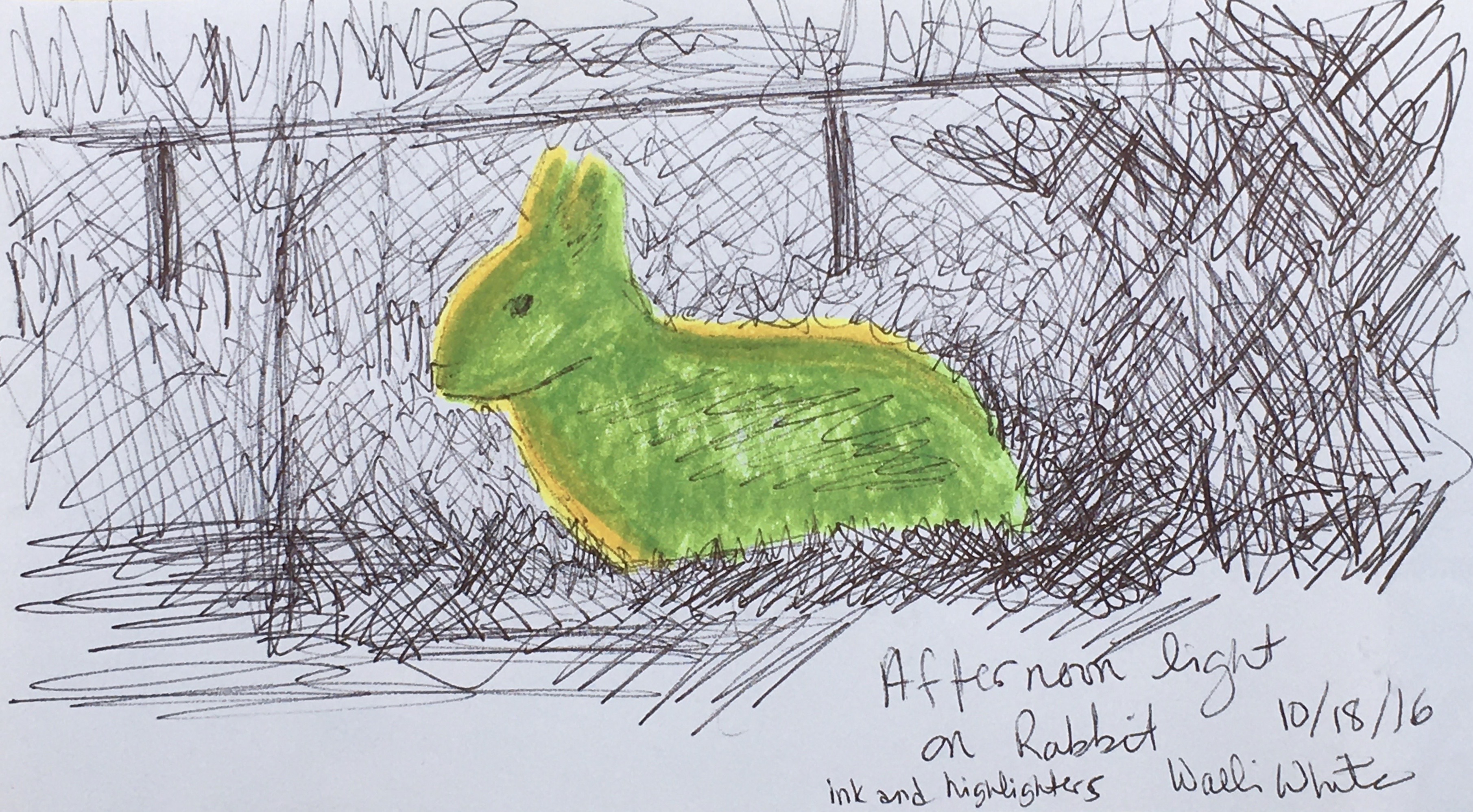 Afternoon Light on Rabbit, 2016
Ink and Highlighters on Paper, Walli White, artist