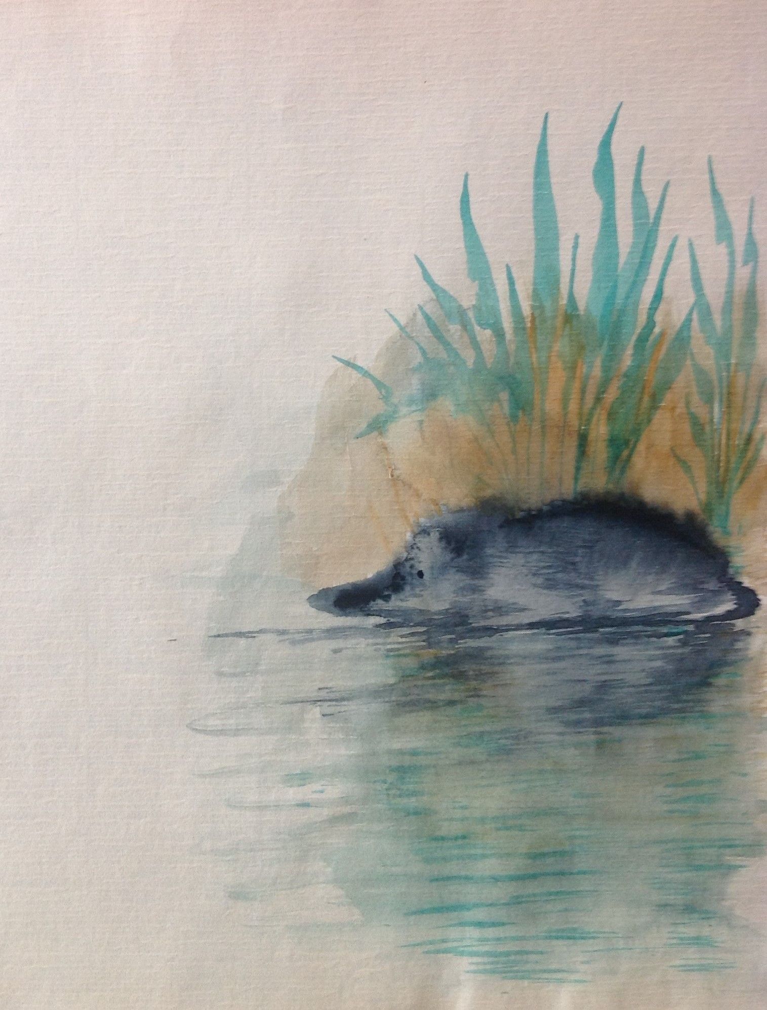 River Rat, 1991
Watercolor on Paper
8"W x 10"H, Walli White, artist