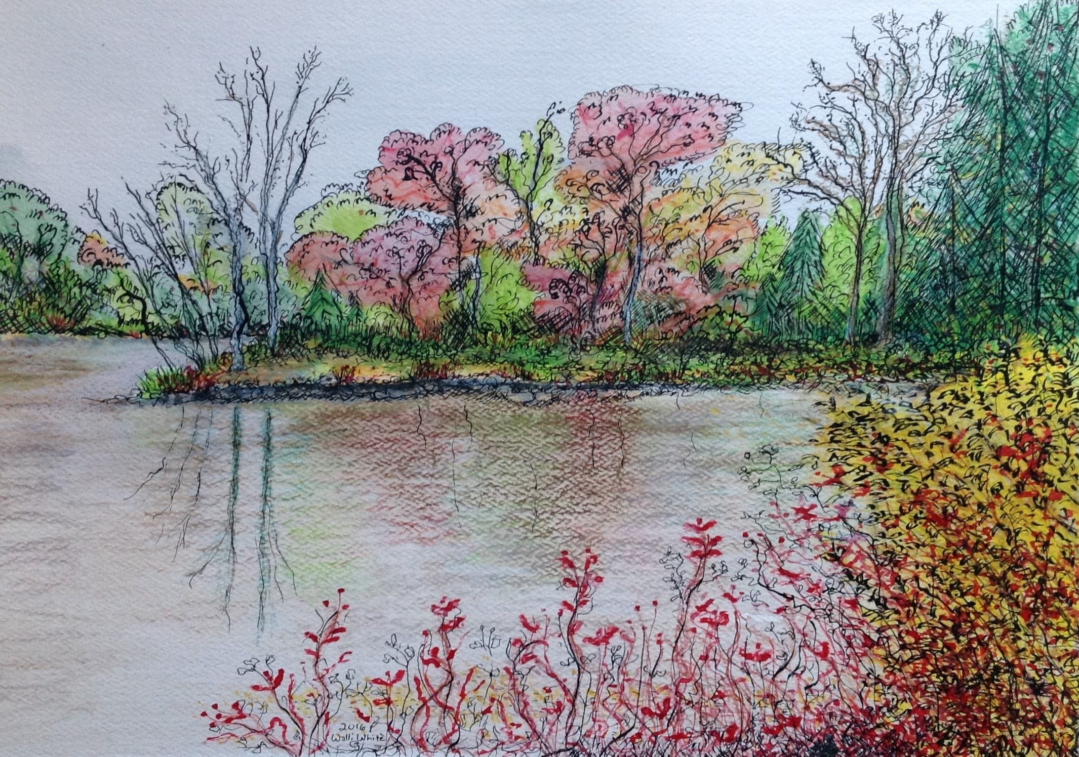 Silverwood, 2016
Watercolors, Watercolor Pencils, Prismcolor Artstix and Ink
15"W x 11"H, Walli White, artist