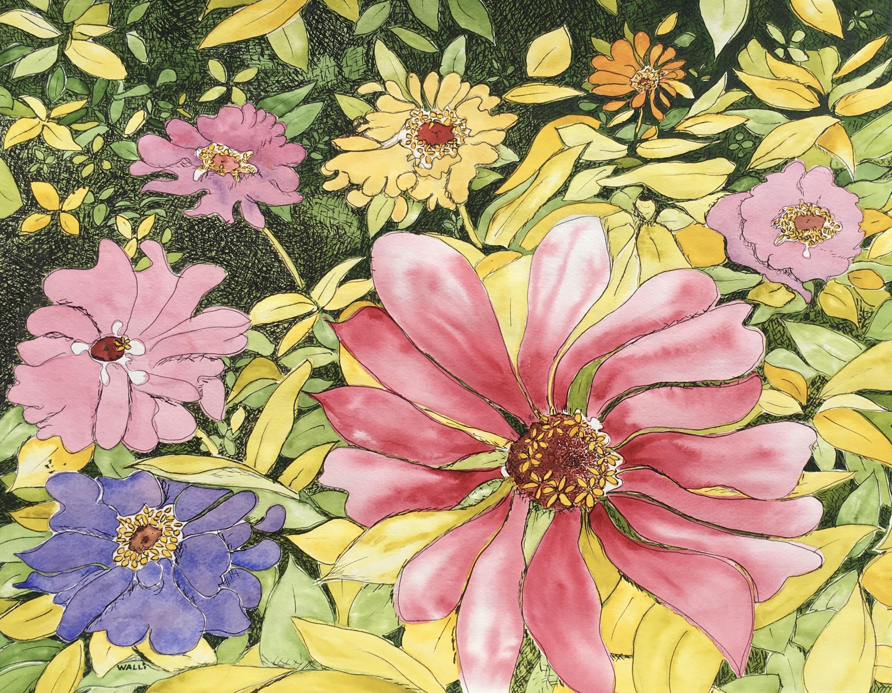 Zinnias, 2021
Watercolor and Dip Pen Ink on Watercolor Paper
22"W x 17"H, Walli White, artist